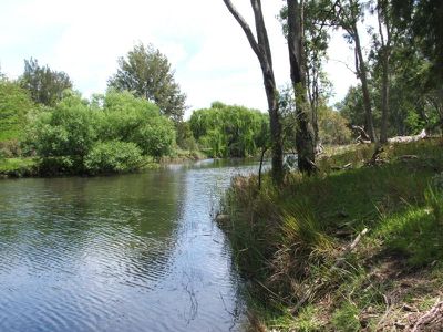 4646 Strathbogie Road, Emmaville