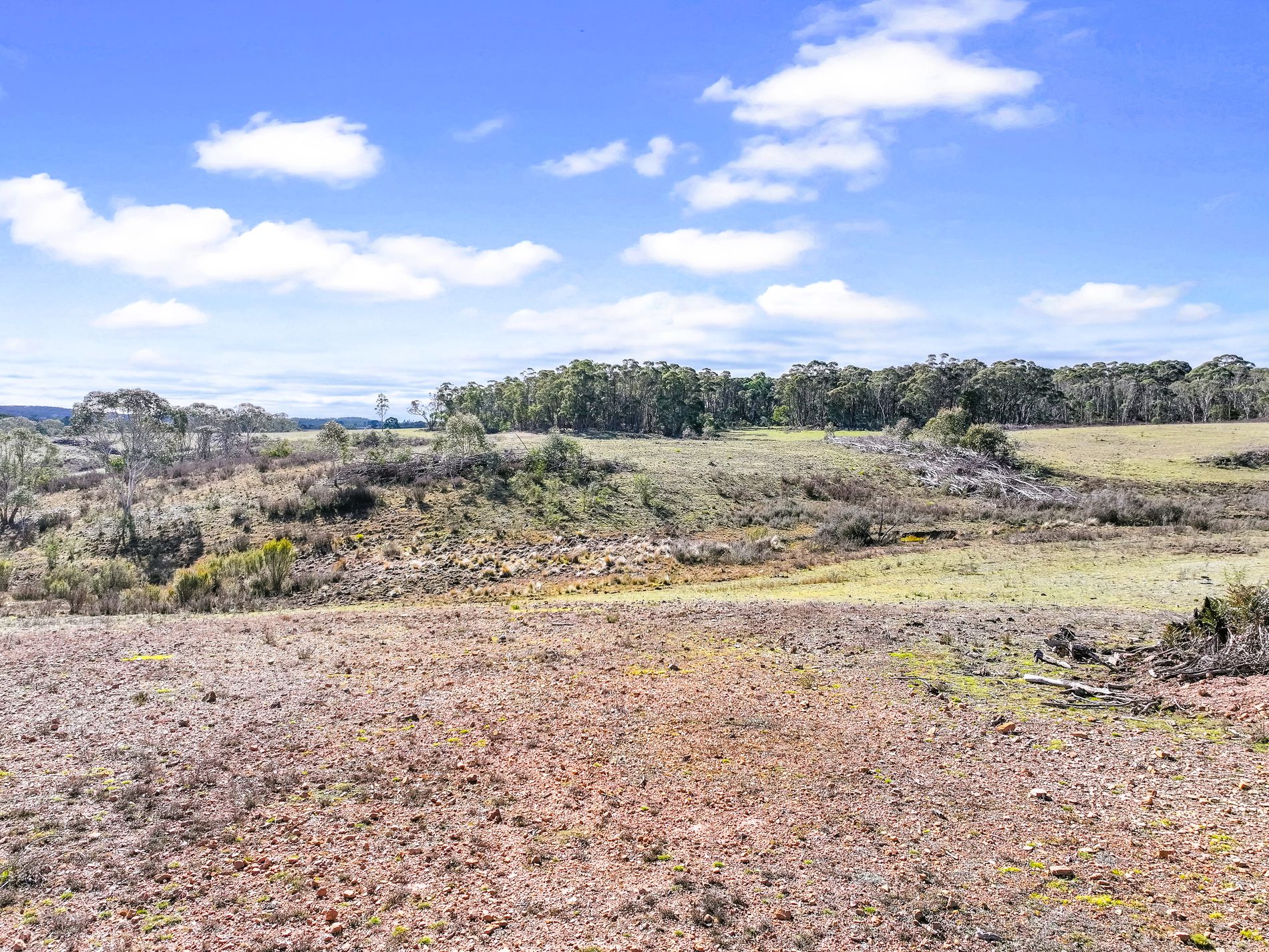Lot 193 / 443 Back Creek Road, Mongarlowe