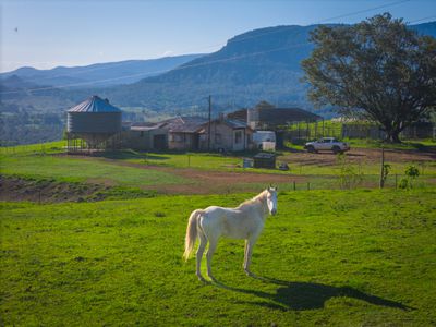 392 TUNTABLE FALLS ROAD, Nimbin