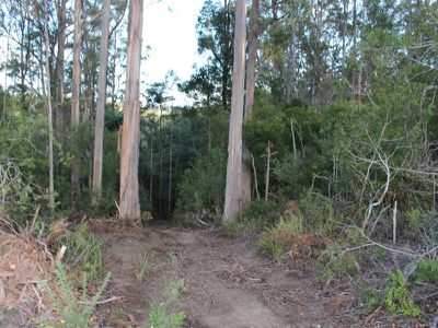 Block At Sandhill Road, Cradoc