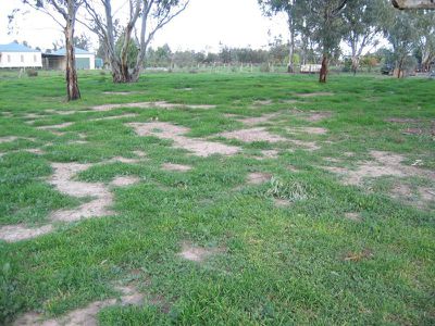 8 Maunder Street, Koondrook