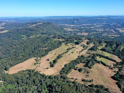 1242 Tuntable Creek Road, Nimbin