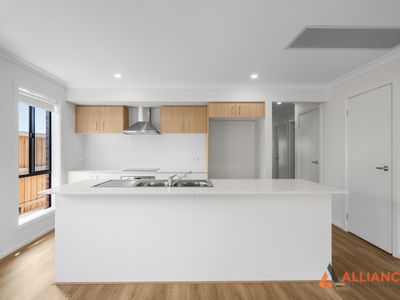 12 Needlebush Drive, Sunbury