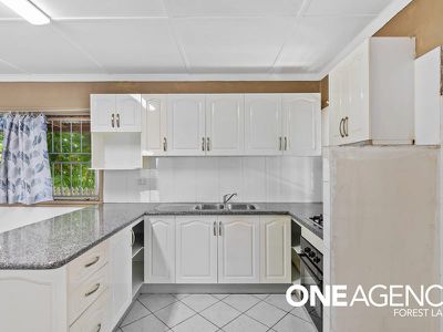 3 Holly St, Inala