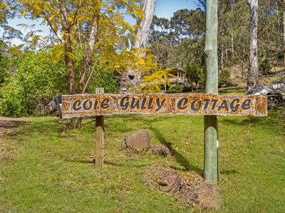 270 Cole Gully Road, Lefthand Branch