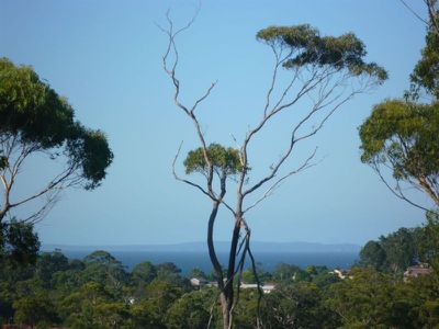 Lot 18 Lot 18 Rose Gum Avenue, Ulladulla