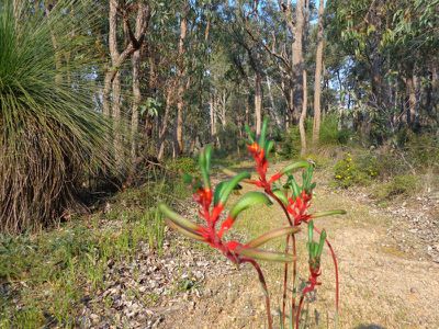 350-390 Robinson Road, Mahogany Creek