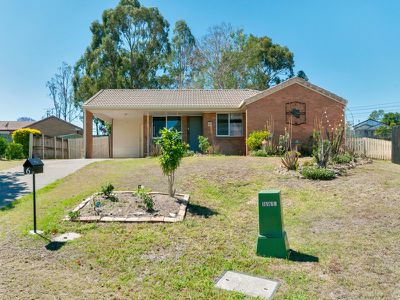 6 Jackson Court, Dinmore