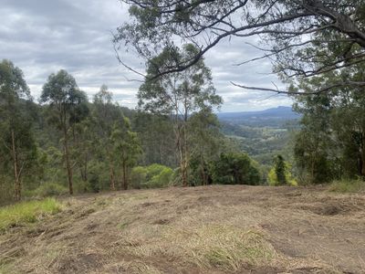 Lot 220 Comboyne Road, Byabarra