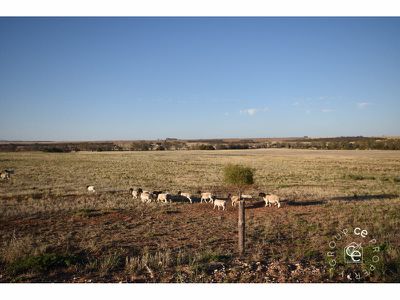 Angas Valley