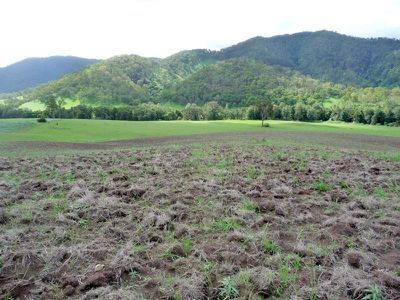 Conondale