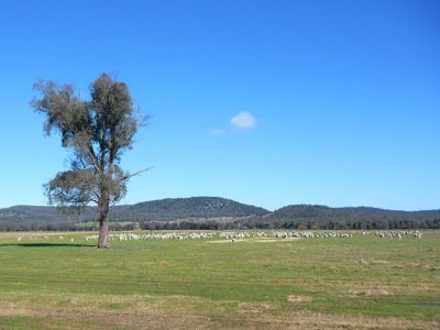 Beechworth-Chiltern Road, Chiltern