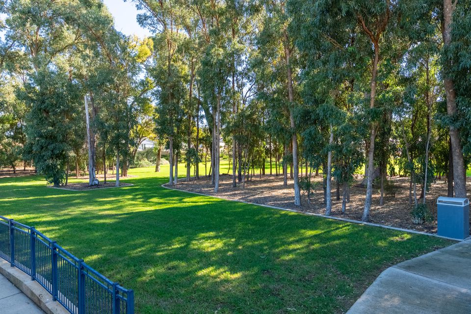 7 Cactus La, Baldivis