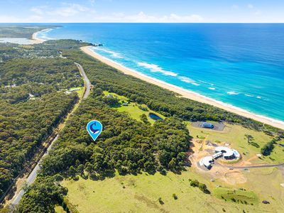 664 Wallaga Lake Road, Wallaga Lake