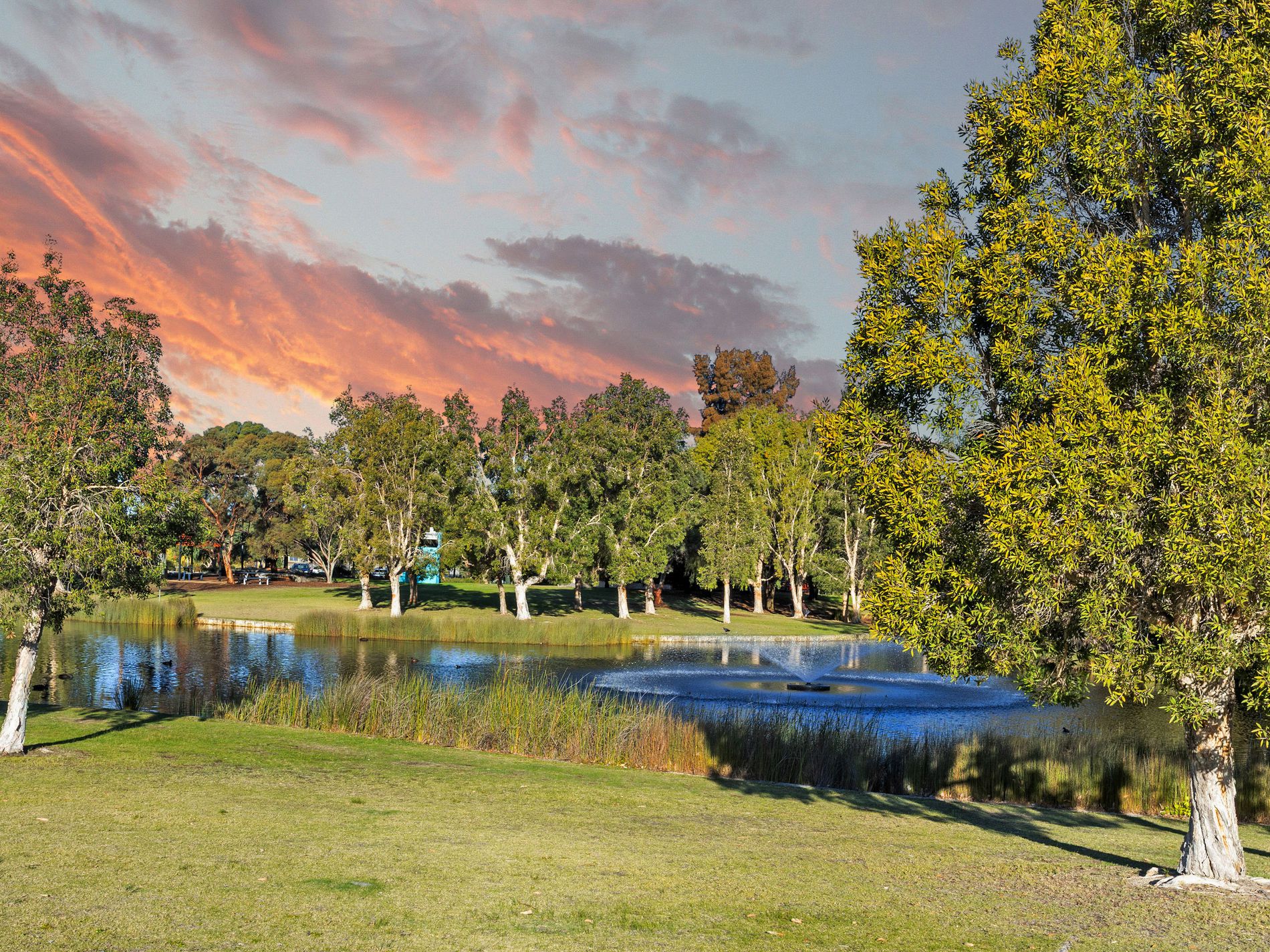 31 Simmonds Parade, Winthrop