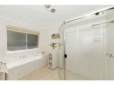 11 Dirum Court, Tewantin