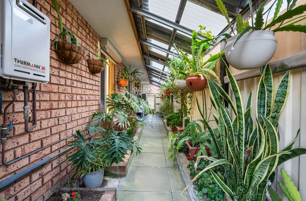 19 Conway Loop, Waikiki