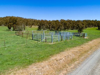 3724 Tallangatta Creek Road, Tallangatta Valley