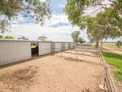 37R Bunglegumbie Road, Dubbo