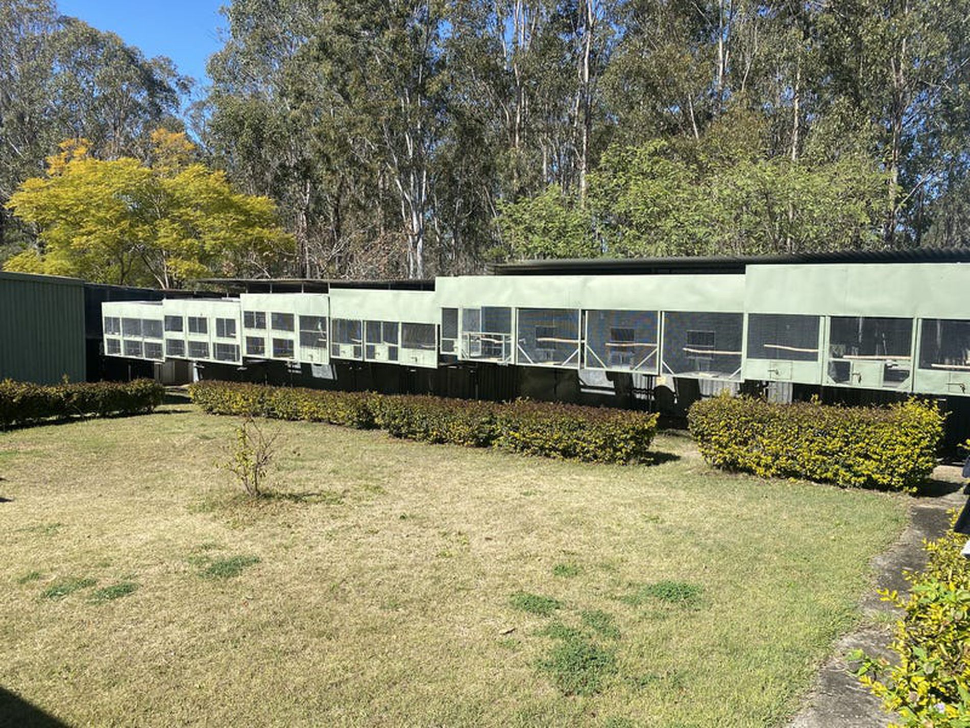 235 Franklin Road, Wattle Camp