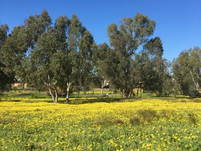 Lot 25, Mount Street, York