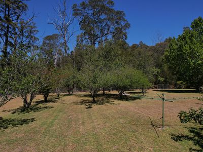 115 Gulph Creek Road, Nerrigundah