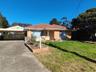 11 Nettlefold Avenue, Hoppers Crossing