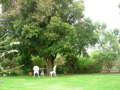 Lot 91 Buchanan Road, Mil-lel