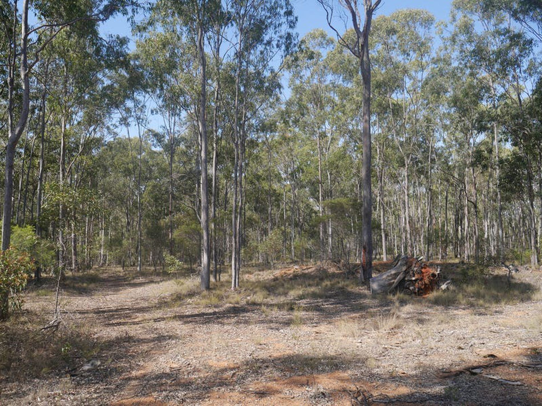 203 Greenview Road, Wondai