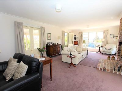 310 Curly Dick Road, Meadow Flat