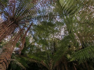 Ra Brittains Road, Garden Island Creek