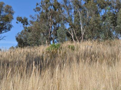 5 Love Lane, Splitters Creek
