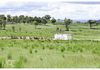 660 Kerrs Creek Road, Kerrs Creek