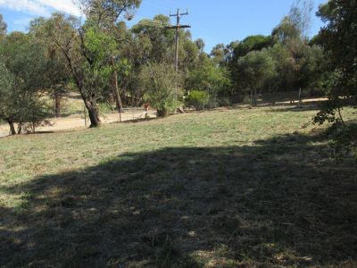 29 Butterworth Street, Castlemaine