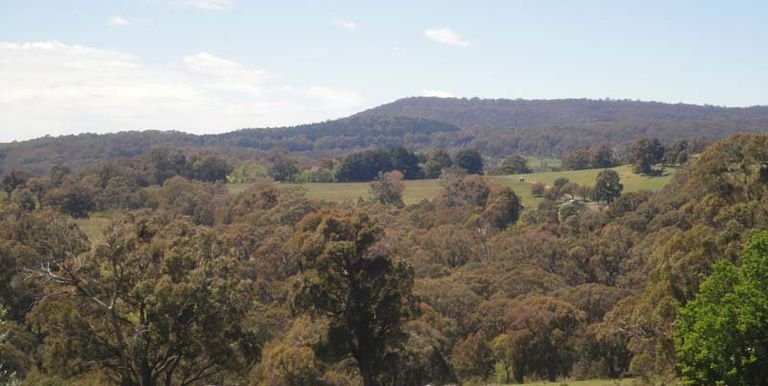 Watkins Road, Strathbogie