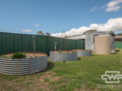 29 Irby Street, Emmaville