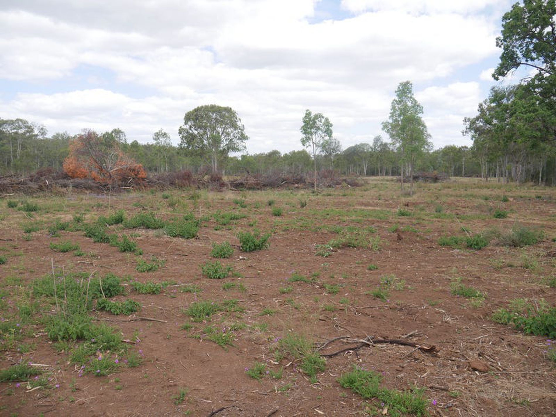 32 Parker Road, Ellesmere