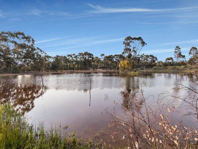 280 Axedale-Toolleen Road, Axedale
