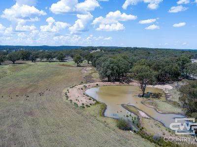 Lot 7, - Emmaville Rd, Emmaville