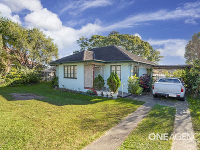 3 Jonquil St, Inala