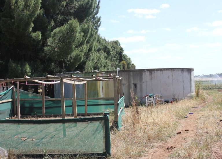 Lot 463, Womma Road, Penfield Gardens