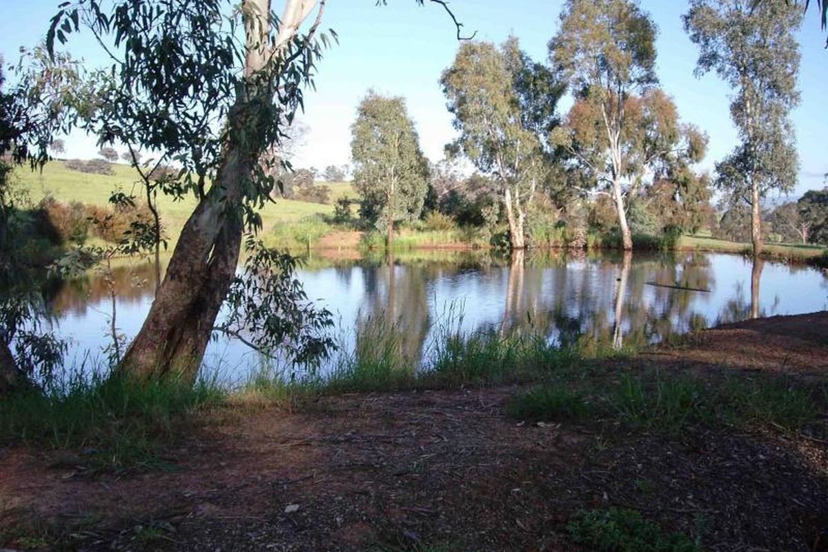 408 Monkey Gully Road, Mansfield