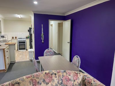 7 Gnowing Street, Wandering