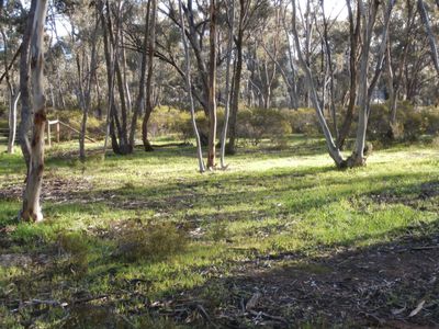 Lot 8A, Bobsiens Hill Road, Wedderburn