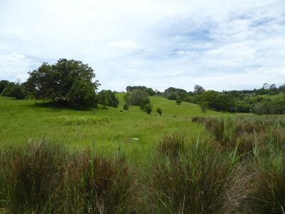 Lot 9 McAuleys Lane, Mullumbimby