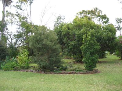 Yungaburra