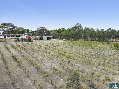 39 Reynolds Court, Graytown