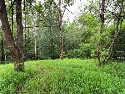 138 Gungas Road, Nimbin