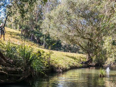 112 Homeleigh Road, Homeleigh via, Kyogle
