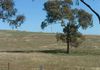 202 Jennings Lane, Molong